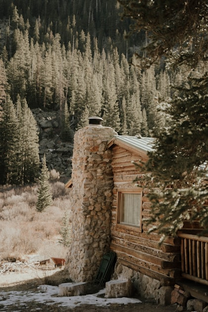 Landscaping Ideas for Every Season